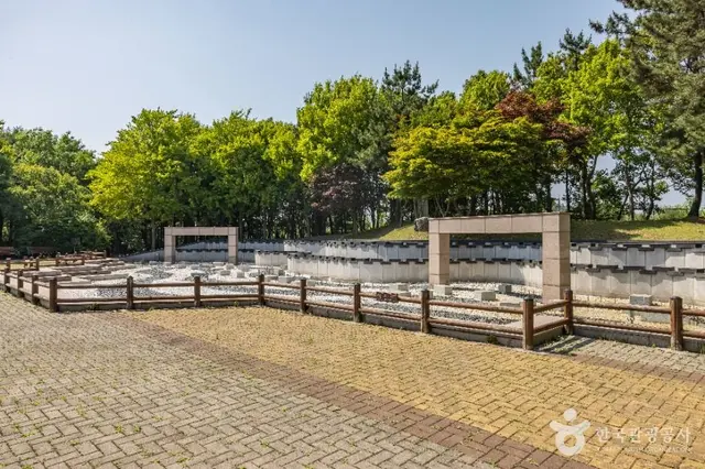 드림파크 주민체육공원 사진