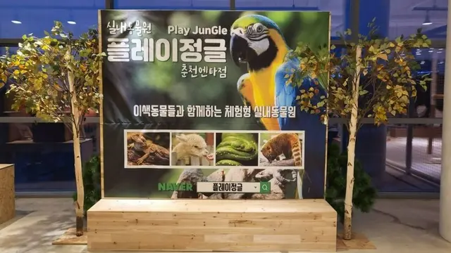 플레이정글 춘천엔타점 사진