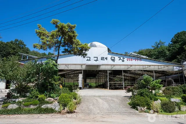 고구려목장 사진
