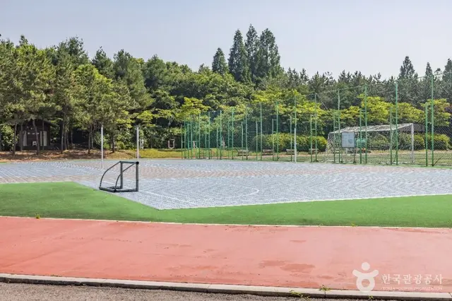드림파크 주민체육공원 사진