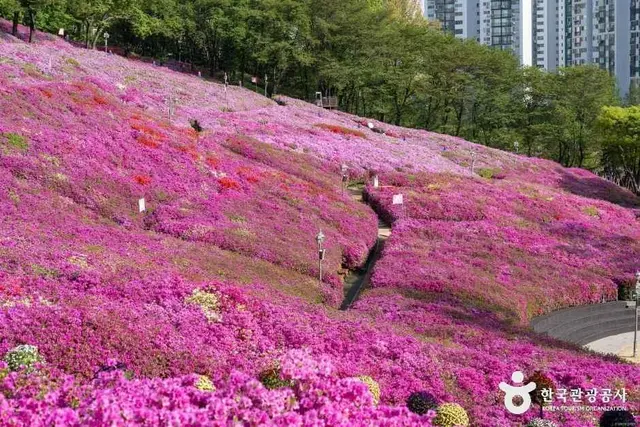철쭉동산 사진