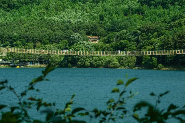 마장호수 출렁다리 사진