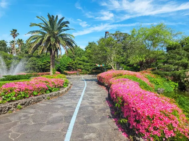 일출랜드 사진
