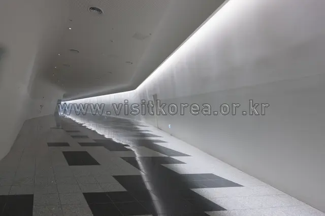 동대문디자인플라자 사진