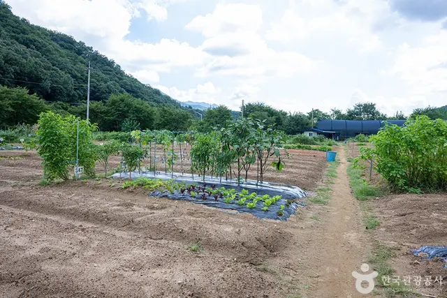 원두막주말농장 사진