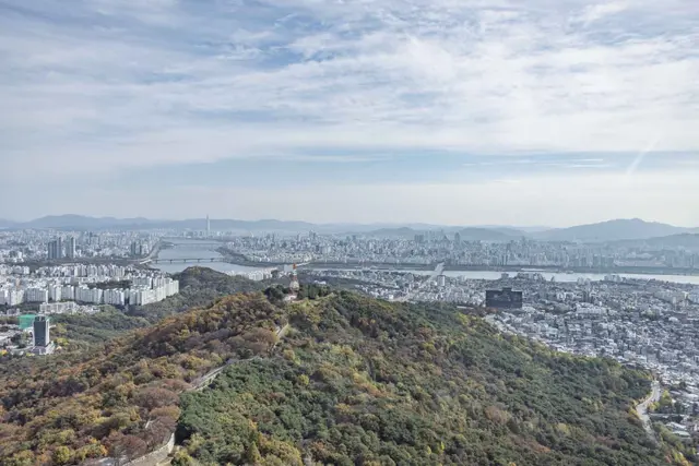 N서울타워 사진