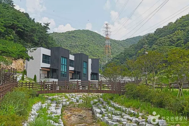 선암 자연휴양림 사진