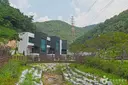 선암 자연휴양림 사진