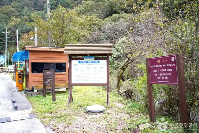 국립 백운산자연휴양림(원주) 사진