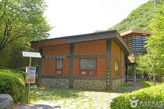 금산생태숲 사진