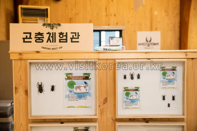 담양곤충박물관 사진