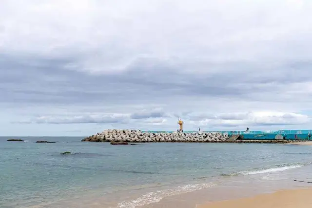 영진해변 사진