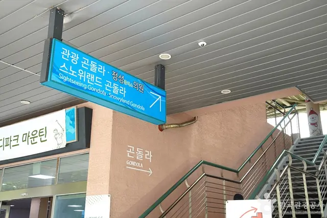 대명 비발디파크 스노위랜드 사진