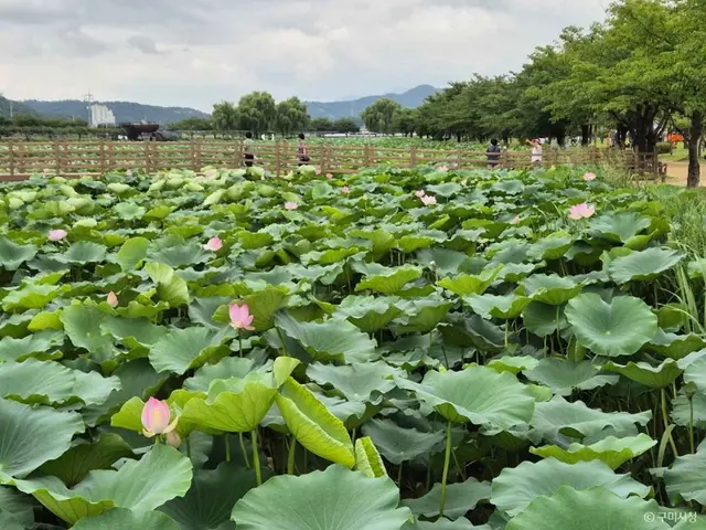 지산샛강생태공원 사진