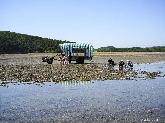 병술만어촌체험마을 사진