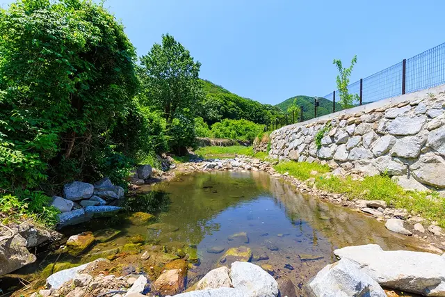 김천맑은계곡 오토캠핑장 사진