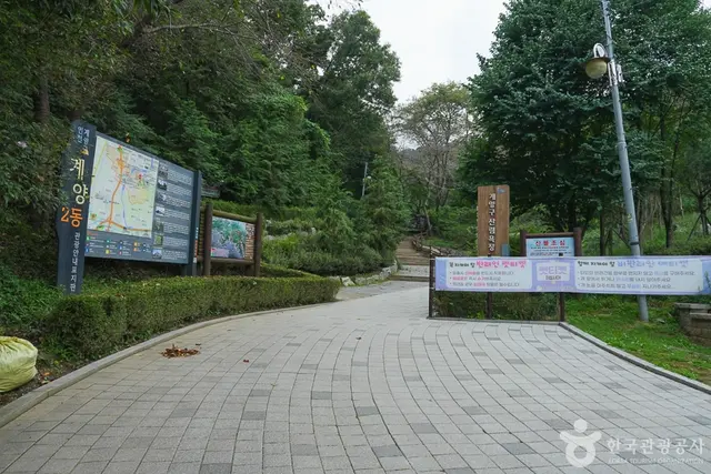 계양산 산림욕장 사진