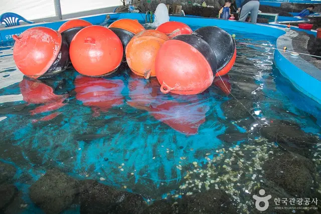 제주바다체험장 사진