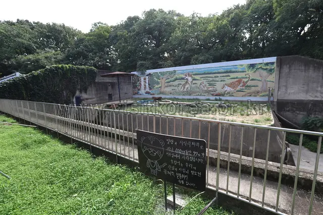 달성공원 사진