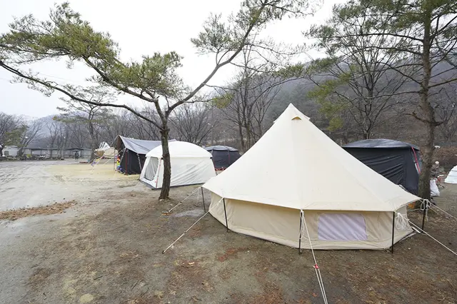 신선계곡 사진