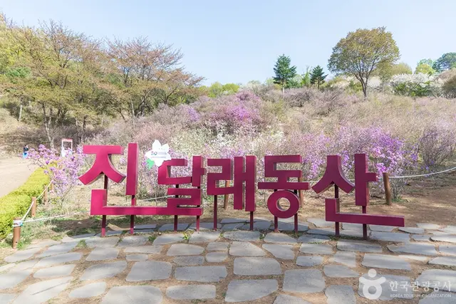 진달래동산 사진