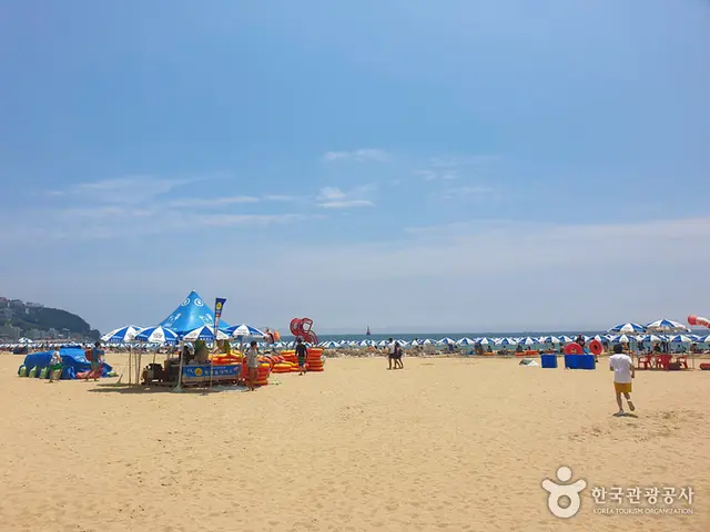 해운대해수욕장 사진
