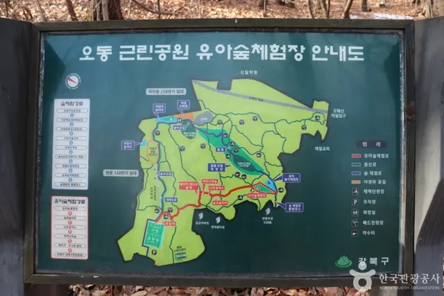 오동근린공원 유아숲체험장 사진