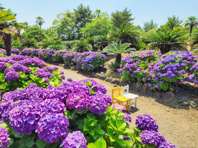 일출랜드 사진