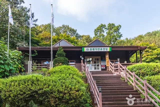 봉황자연휴양림 사진