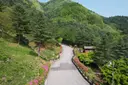 칼봉산자연휴양림 사진