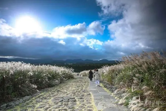 산굼부리 사진