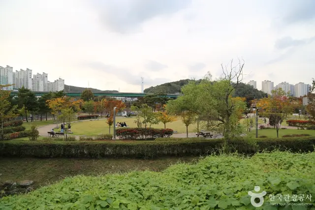기흥호수공원 사진