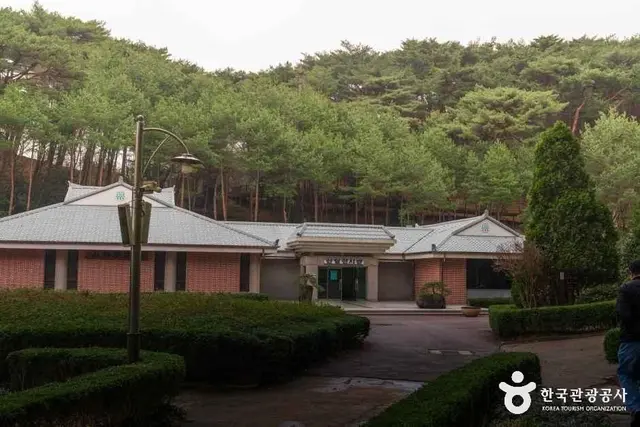안면도자연휴양림 사진