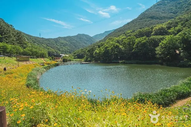 진밭골산림공원 사진