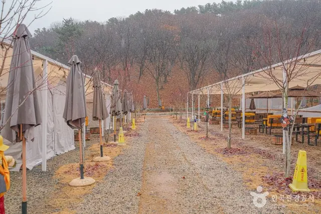 헤이리농원 사진