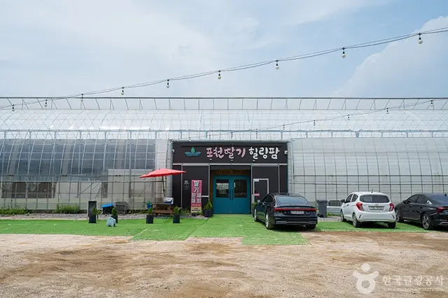 포천딸기힐링팜 사진