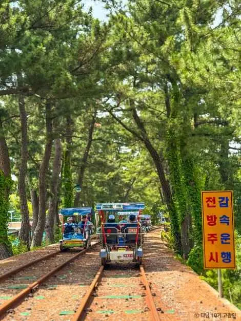 삼척해양레일바이크 사진