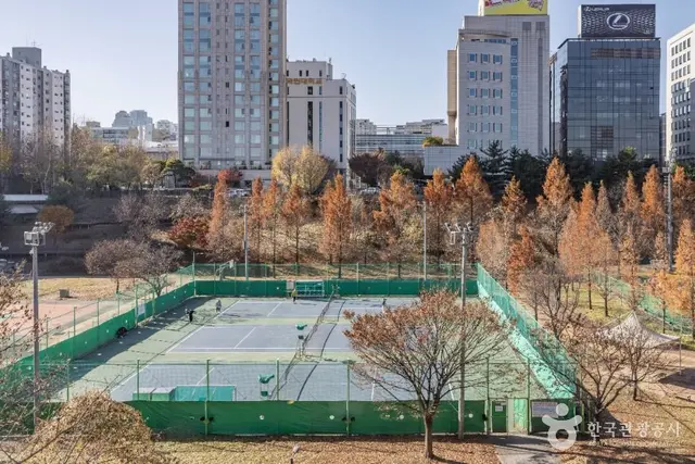 대치유수지체육공원 사진
