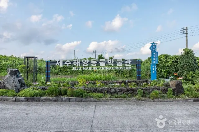 제주해양동물박물관 사진