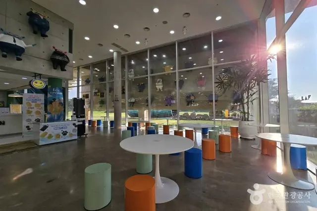 제주라프 사진
