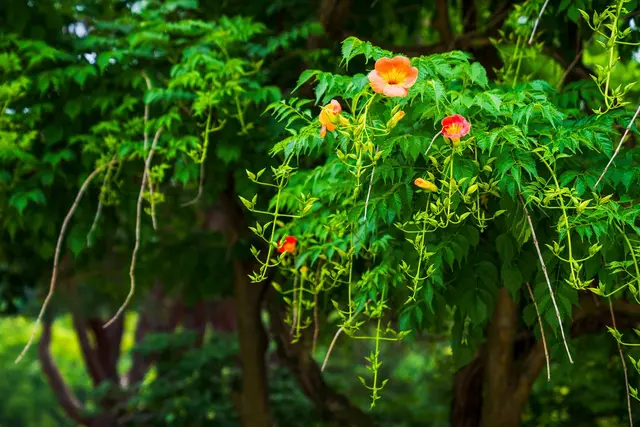 현충사 사진