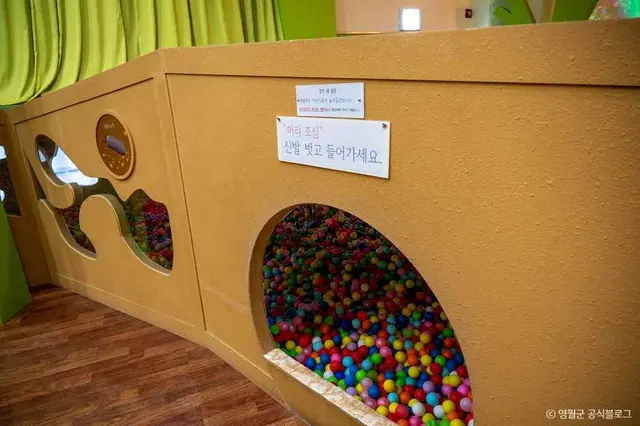 영월곤충박물관 사진