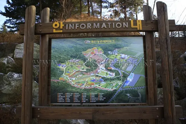 용인농촌테마파크 사진
