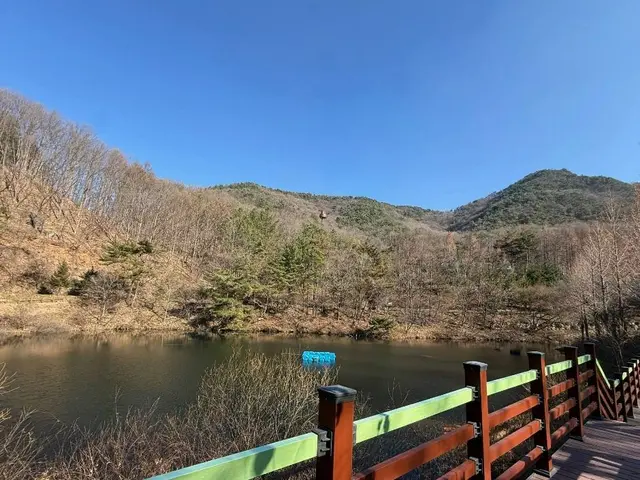 충북알프스자연휴양림 사진