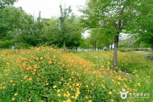 의령역사문화테마파크 사진