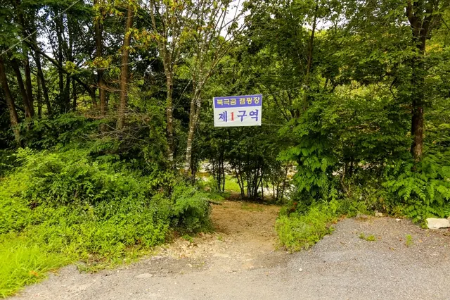 북극곰 캠핑&야영장 사진