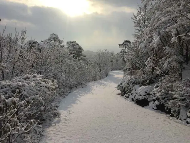 아름다운정원 화수목동물농장 사진