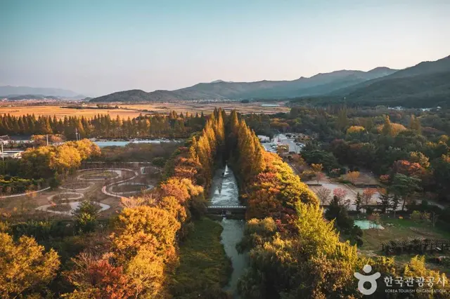 경북천년숲정원 사진