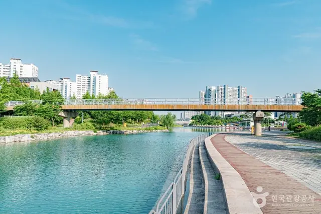 한강중앙공원 사진