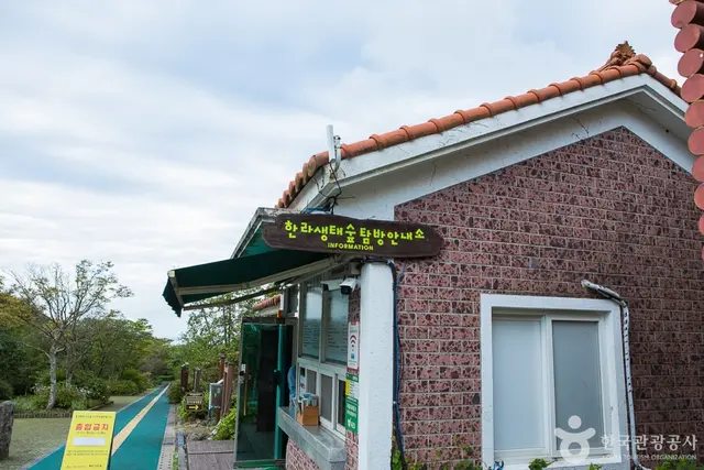 한라생태숲 유아숲체험원 사진